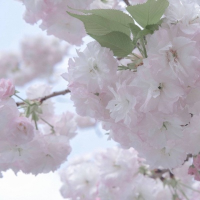 沅江FurryQQ群介绍